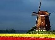 Holanda tulipanes