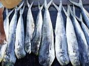sobrepesca
