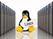 Mejores Hosting Linux para 2014