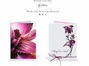 DIVA: arte ilumina boda, hogar, vida...