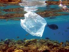 Punta Arenas Chile Chico suma eliminación bolsas plásticas