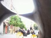 original exposición plaza triunfo