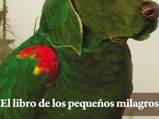 libro pequeños milagros