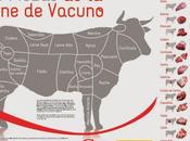 Nombre reciben partes piezas carne vacuno