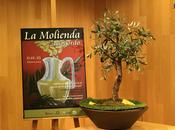 Riogordo transmite cultura aceite oliva verdial distintas generaciones malagueños través Molienda’