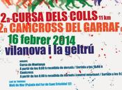 Cursa dels colls