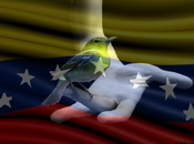 Rumores Militares Venezuela