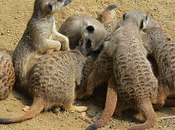 responsabilidad importante eres