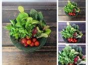 Esta primavera, huerto…