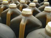 Factores para afianzar pymes