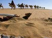 arqueología apoya Abraham tenía camellos