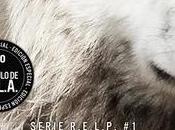 Rasguños puerta Melisa Ramonda