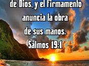 Considera lirios