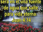 Manantial vida
