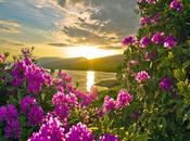 Llego...