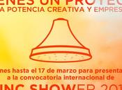 ¿Tienes proyecto creativo revolucionario? Preséntalo Zinc Shower 2014.