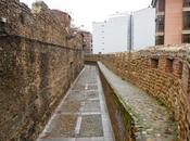 Cerca medieval León