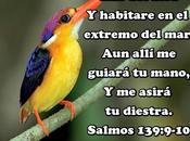 presencia Dios