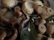 Champiñones vapor laurel especial dieta