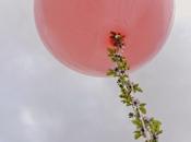 años c@sas pelicula