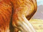 ZOOBOOKS: Procoptodon goliah megafauna australiana)