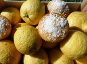 Magdalenas coco lemon curd