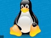 Linux Foundation anuncia curso gratuito valorado 2500 dólares