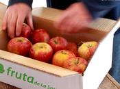 Fruta Sarga