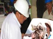 TRAICIONADO, OJEROSO, CANSADO ILUSIONES… siente consejero peregrino región