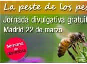 Vuelve estigma “locos” enfermos Fatiga Crónica Sensibilidad Química