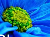 Blue trend
