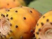 Beneficios higo chumbo hojas Nopal
