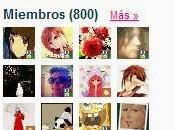 ¡800 gracias!