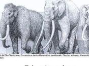 Georgeos Díaz: Elefantes Atlántida antiguos megalitos mundo
