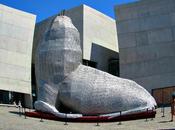 Museo Arte Contemporáneo Plata