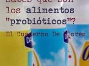 ¿Sabes alimentos probióticos?