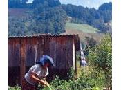 garantizar mujeres acceso propiedad tierra