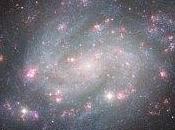 perfecto cercano ejemplar galactico