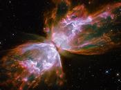 6302, Nebulosa Insecto