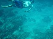 Buceo islas Gili
