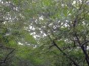 innovación corporativa