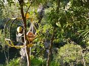 Paseo zipbike Xel-Há, amé!