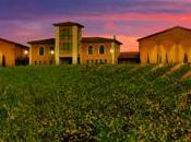 Palacios Vinoteca, nuevo grupo bodeguero nacido