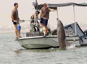 Cómo convertir delfín, león marino ballena mortífero comando