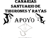 ATIRACAN Campaña Internacional "Canarias Santuario Tiburones Rayas"