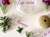 Diy... caja cristal