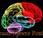 pasa cerebro ante ordenador