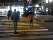 Guepardos nocturnos