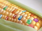 Charla: cultivos transgénicos aragón. caso maíz