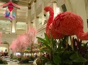 Macy’s Flower Show